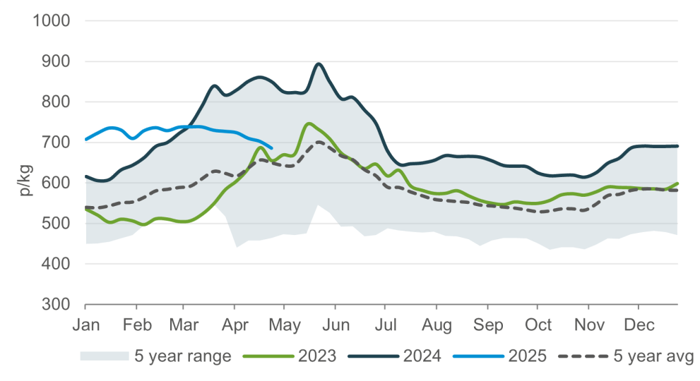 Chart showing the weekly AHDB deadweight reporting lamb SQQ